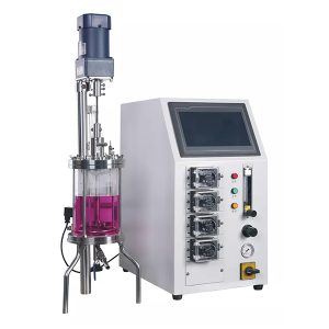 lasinen entsyymireaktori