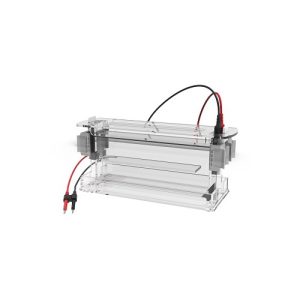 suurikapasiteettinen pystysuora elektroforeesikennosto