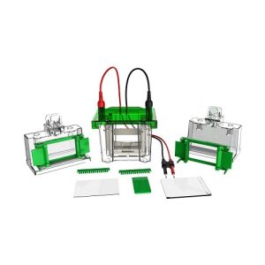 mini-vertikaalinen elektroforeesikennosto